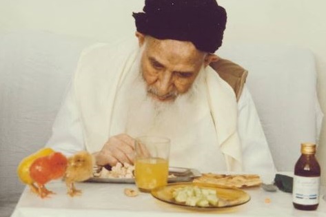 تقسیم غذای آیت الله با جوجه‌ها +عکس