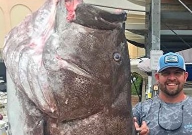 صید ماهی غول پیکر بزرگ‌تر از انسان +عکس 