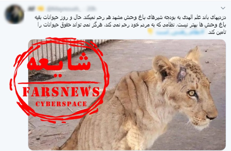 شایعه‌پراکنان شیر‌ها را از سودان به مشهد آوردند +عکس