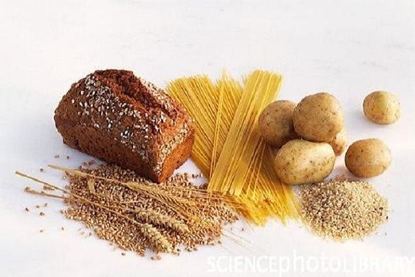 رژیم غذایی کم کربوهیدرات از تاثیر افزایش سن بر مغز پیشگیری می‌کند