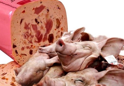  کشف سوسیس و کالباس‌ گوشت خوک در تهران 