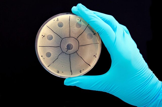  جنگ باکتری‌ها و ویروس‌ها، چالش جدید حوزه زیست‌فناوری