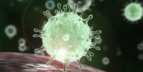 احتمال شیوع یک ویروس جدید در چین