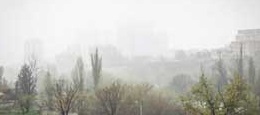 هوای تهران امروز مه آلود شد +عکس