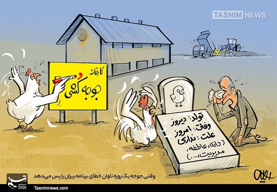 اینجا کارخونه جوجه‌کِشی است یا جوجه‌کُشی؟ +عکس