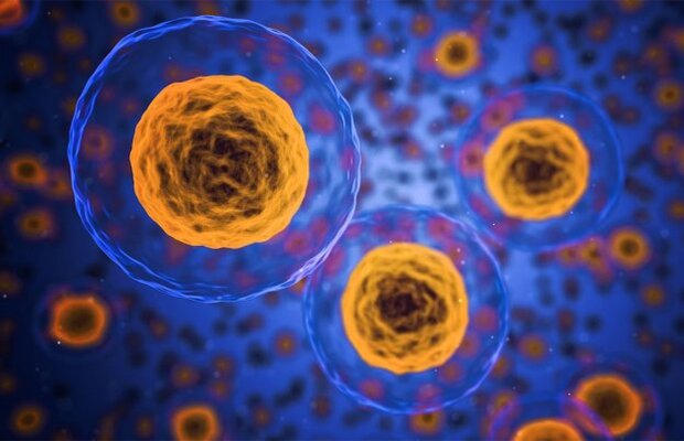 تعیین میزان اسیدیته سلول با نانوذرات برای کمک به بیماران سرطانی