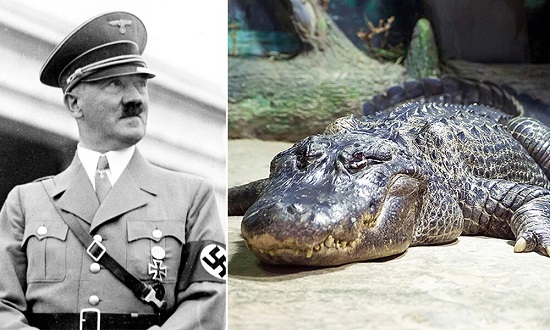تمساح هیتلر از دنیا رفت+عکس