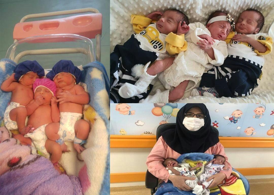 تولد سومین نوزاد ۳ قلو پس از کرونا در قم +عکس 