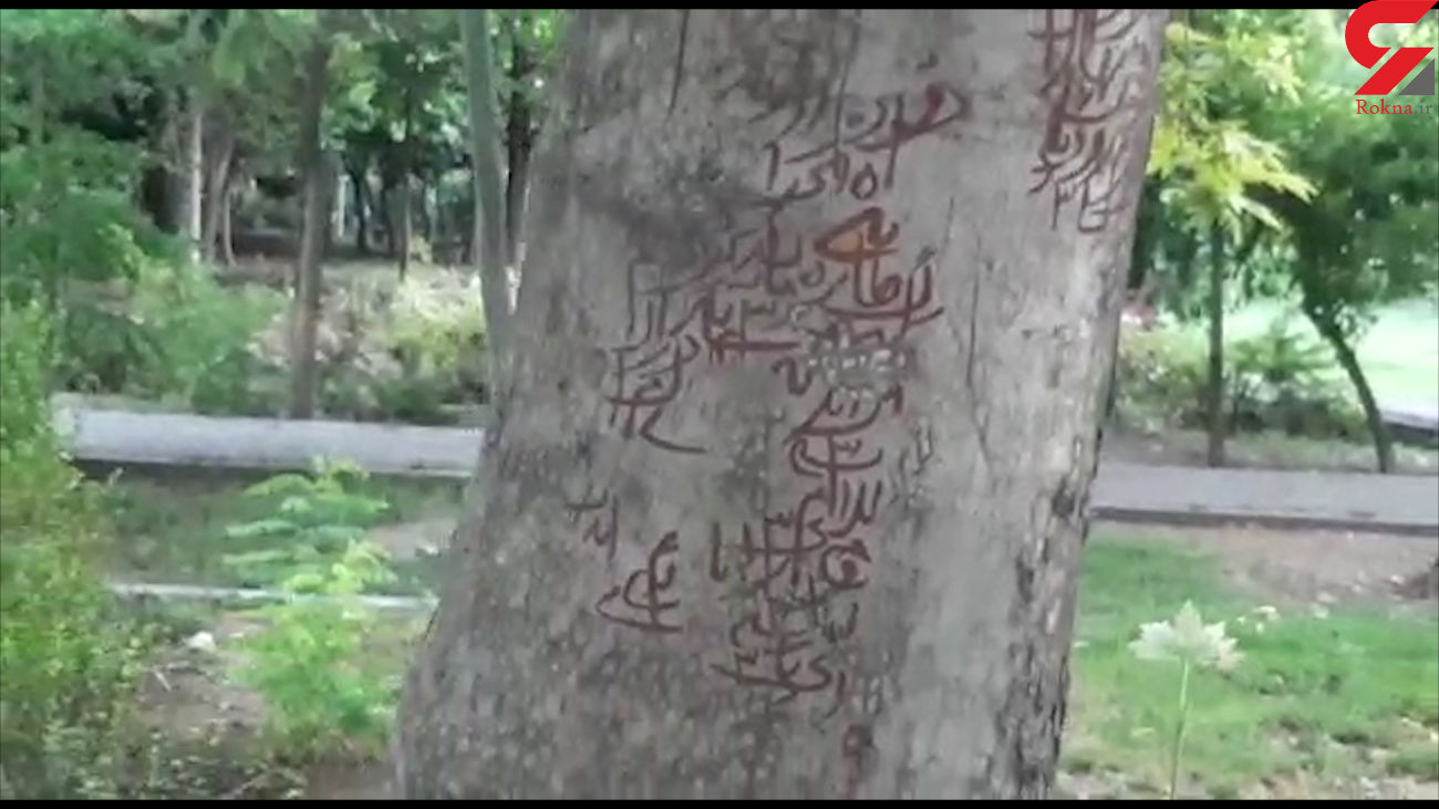 طلسم روی درختان تهران چیست؟+عکس