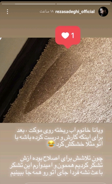  دسته گلی که دخترِ رضا صادقی آب داد!+عکس