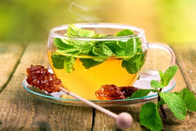 هفتمین کنگره ملی گیاهان دارویی برگزار می‌شود