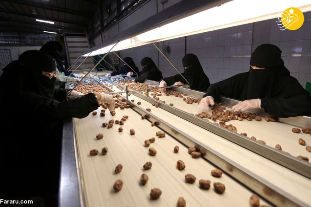 زنان عربستانی کارگر در کارخانه خرما+عکس