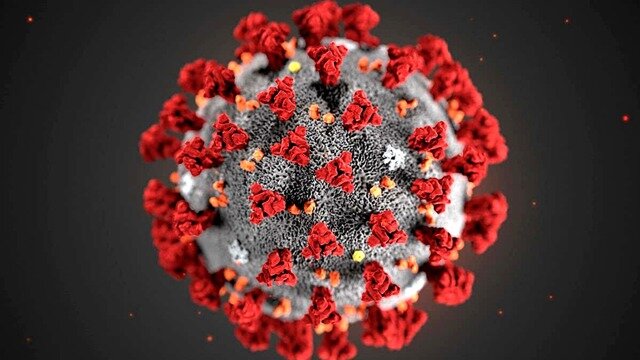  یافته‌هایی درباره مکانیسم ساختاری اتصال گیرنده‌های کروناویروس