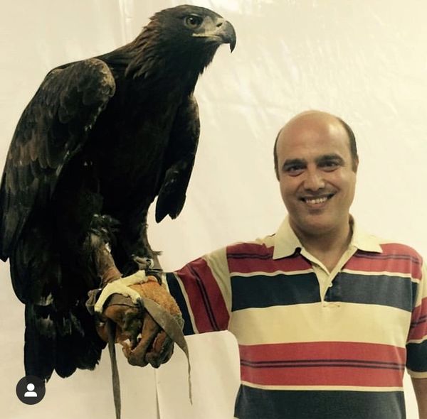 پرنده بزرگ روی دست بازیگر معروف ایرانی +عکس 