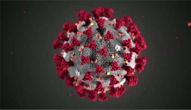 ویروس کرونا خطرناک‌تر شده است؟ 
