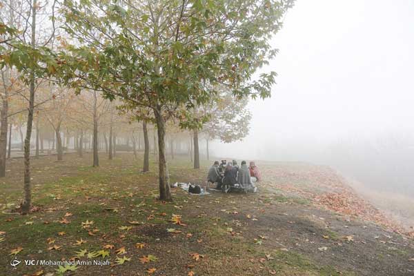 همدان در مه غلیظ فرو رفت+عکس
