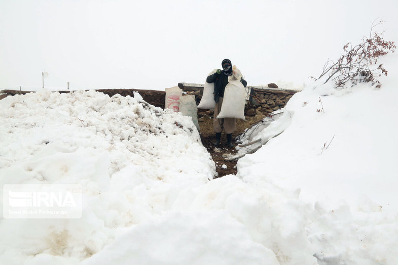 سردترین شهر ایران در برف فرو رفت+عکس