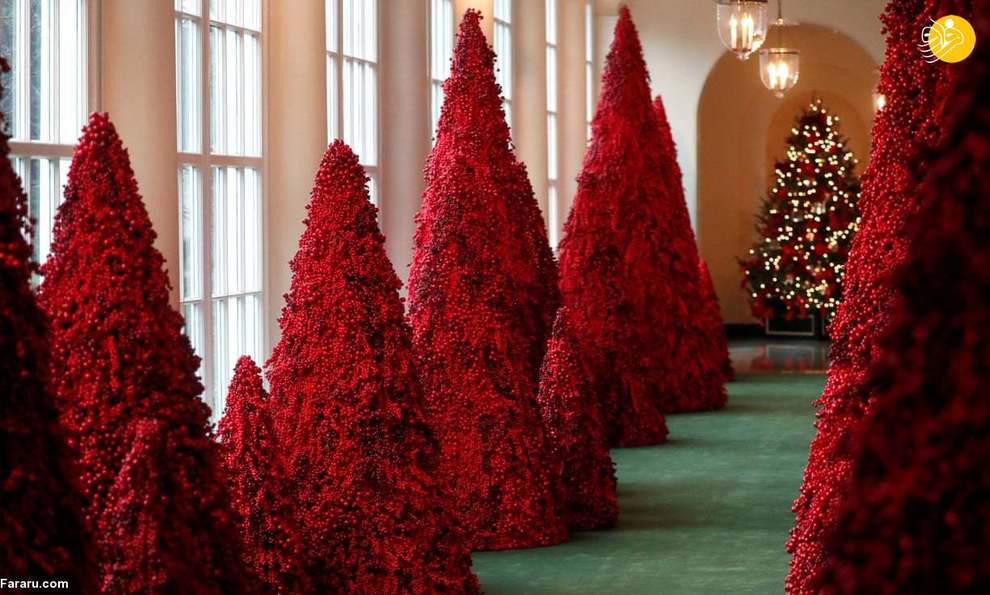 آخرین دکور کریسمس همسر ترامپ در کاخ سفید+عکس