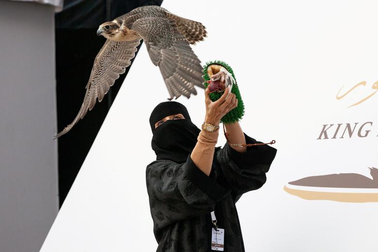 پرنده شکاری روی دست زن عربستانی+عکس