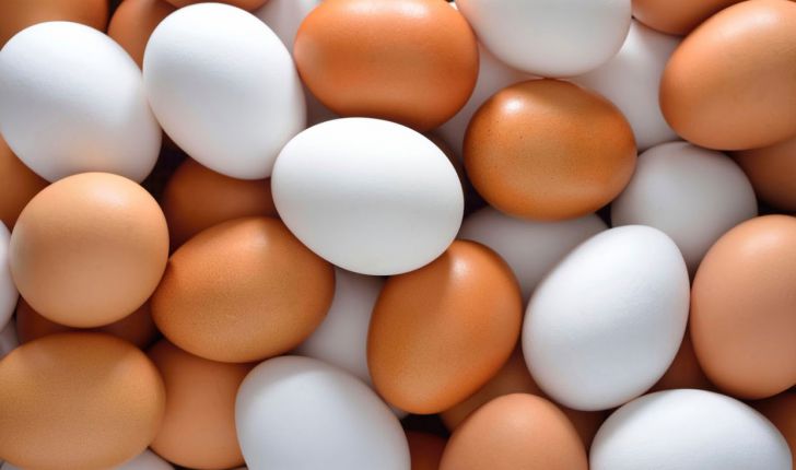 افزایش قیمت تخم مرغ ادامه دارد