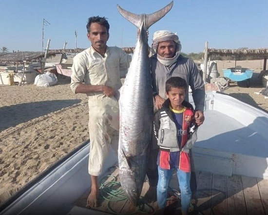 صیاد جاسک ماهی ۴ میلیونی صید کرد+عکس