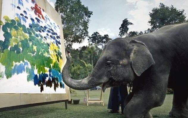 فیل‌های نقاش با درآمد بالا+عکس