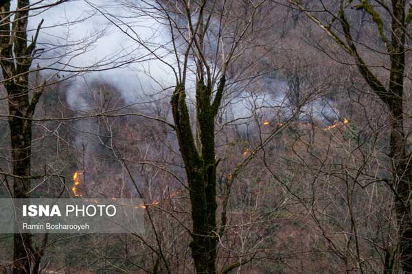 آتش سوزی گسترده در مرز آستارا+عکس