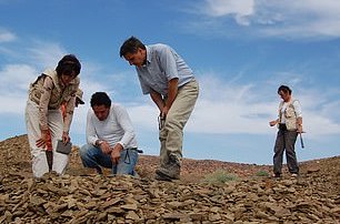 اولین تصویر از ستاره دریایی ۴۸۰ میلیون ساله + عکس
