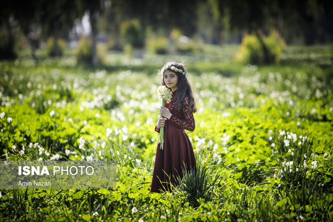 دختر زیبای ایرانی در نرگس زار+عکس