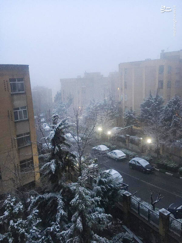 تهران پس از بارش برف دیشب+عکس