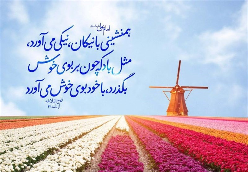  چه کسانی برای رفاقت مناسبت هستند؟ 