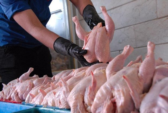 تزریق هورمون به مرغ ها برای تنظیم بازار؟