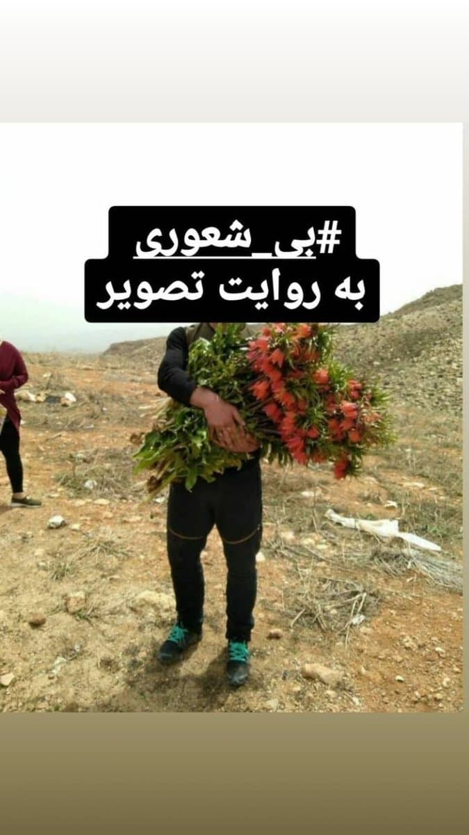 تصویری که باعث خشم مردم ایران شد+عکس