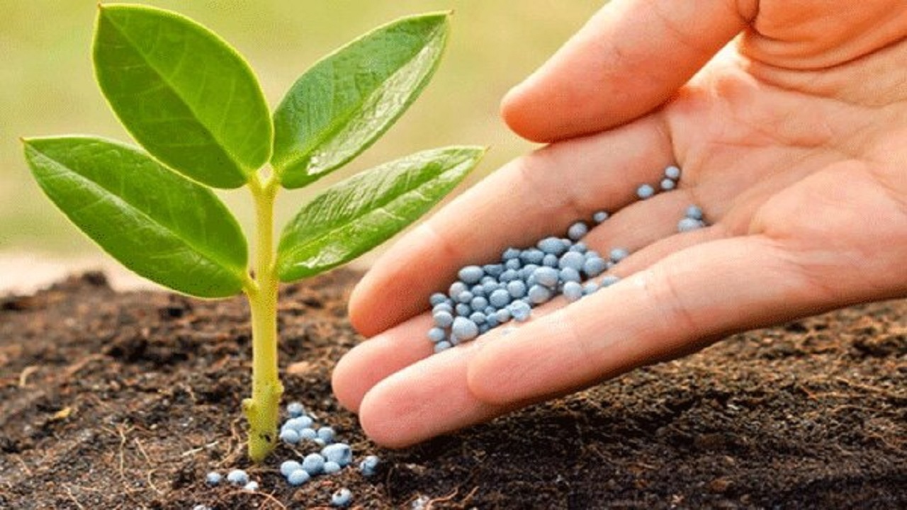 تولید یک کرم گیاهی برای رفع تیرگی و چروک دور چشم 