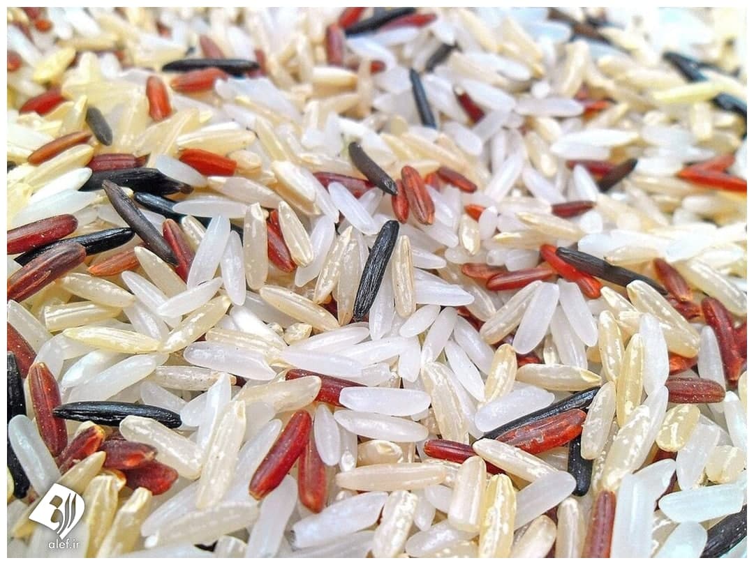 خبر نگران کننده درباره برنج