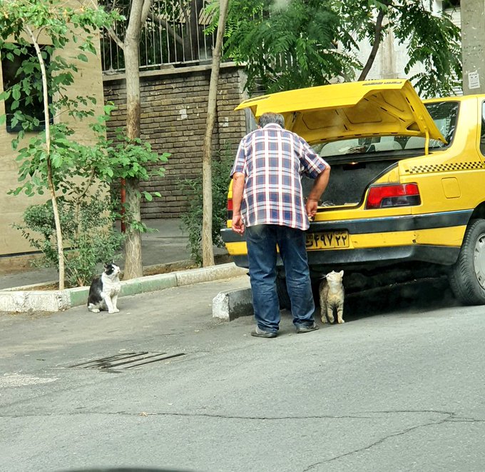 راننده تاکسی تهرانی همه را متعجب کرد+عکس