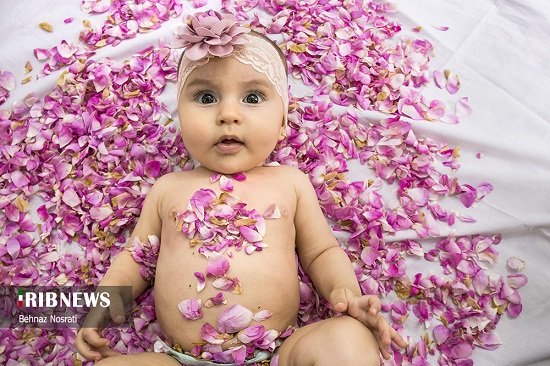 نوزادان دامغانی در گل غلتانده شدند+عکس