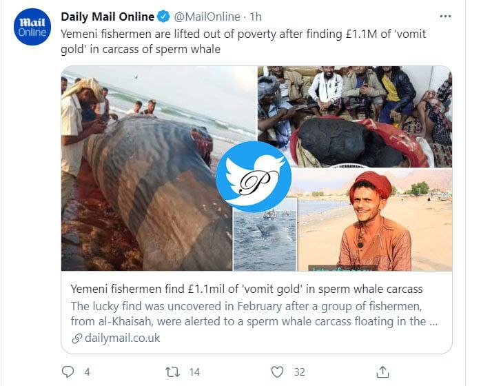 ماهیگیرانی که با استفراغ نهنگ میلیونر شدند+عکس