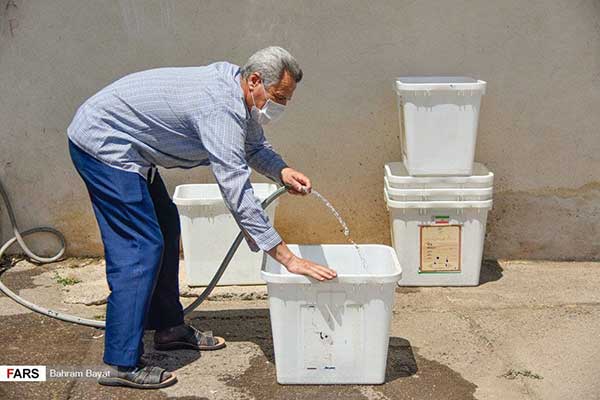 تصویری از صندوق های رای فردا که پربازدید شد+عکس