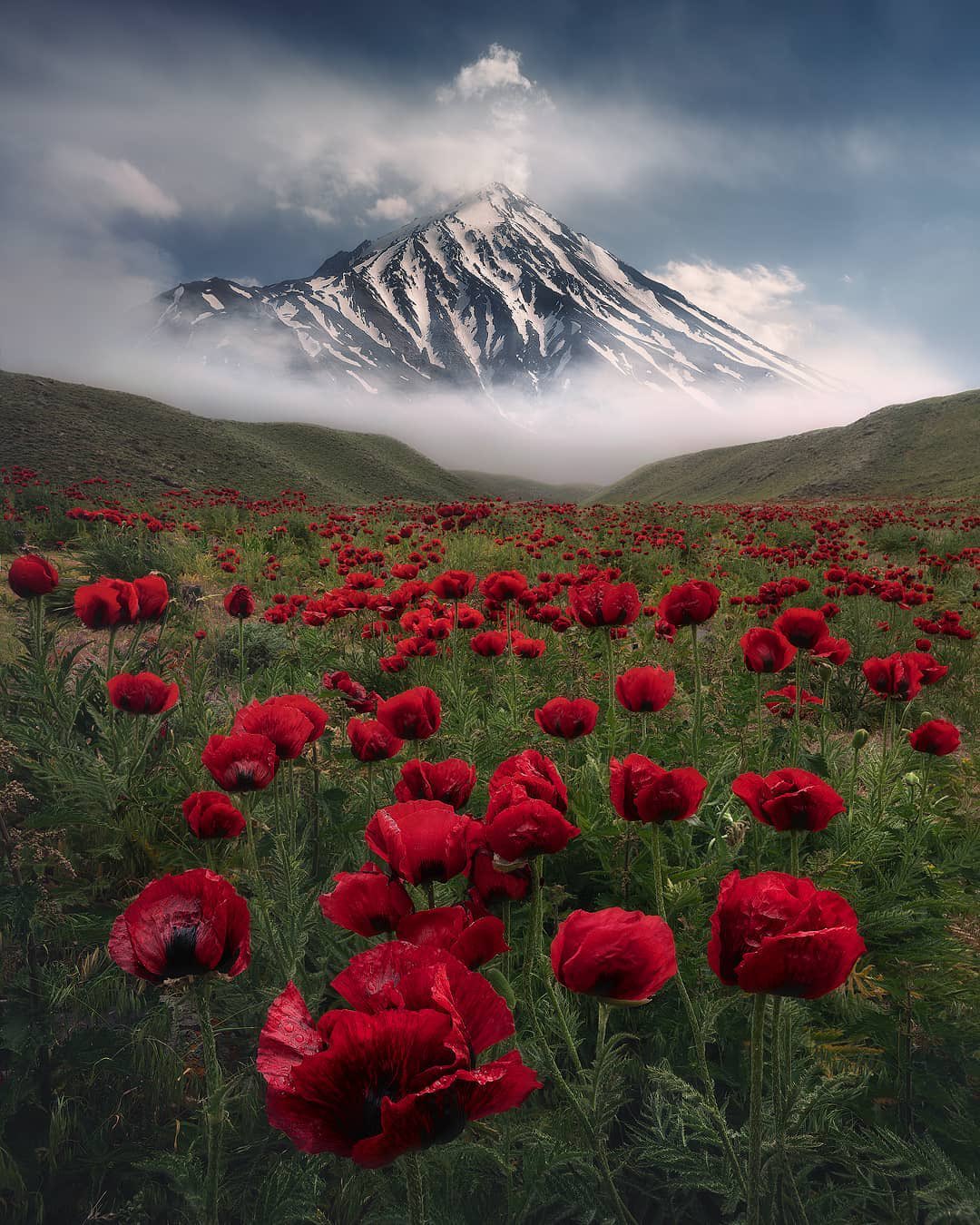 چشم انداز بهشتی از کوه دماوند+عکس