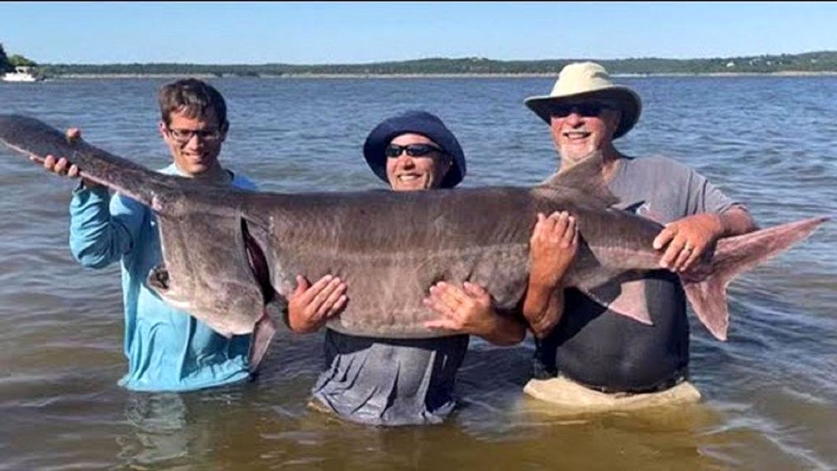 نوجوانی که رکورد صید بزرگترین ماهی را زد+عکس