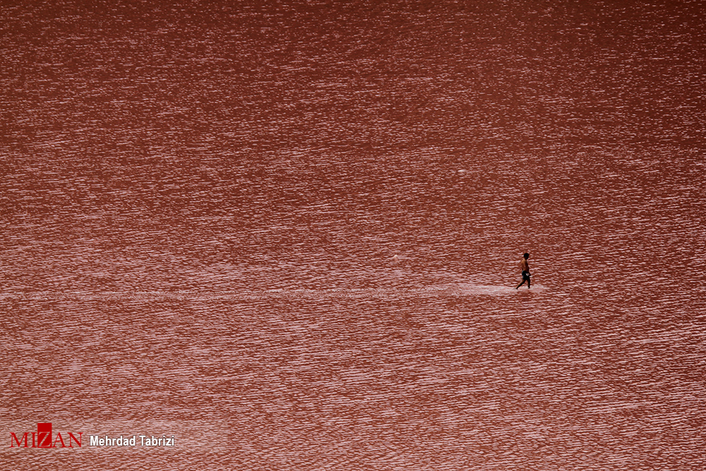 دریاچه ارومیه به رنگ خون درآمد+عکس