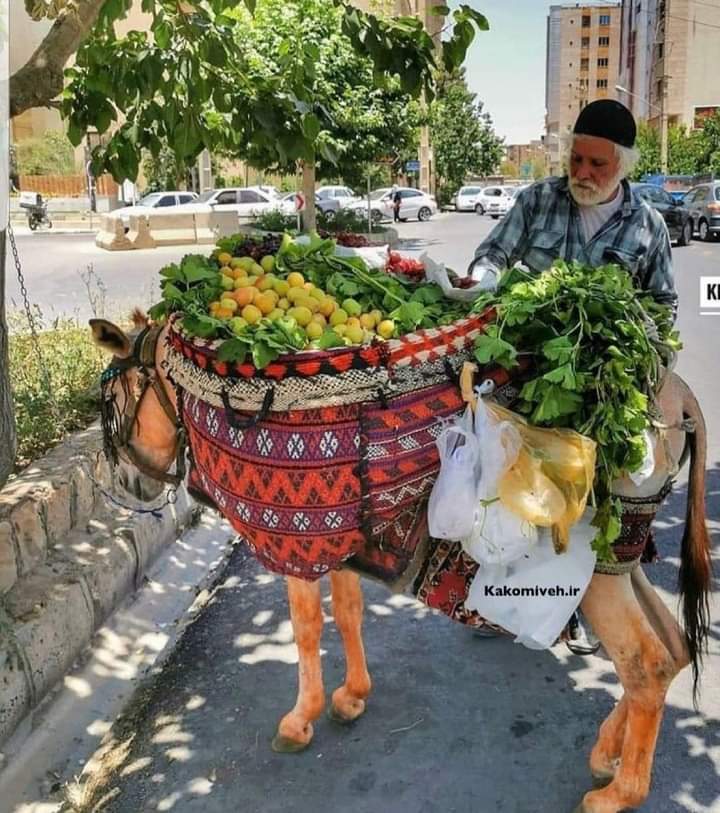 زیباترین فروشنده دوره گرد در شیراز+عکس