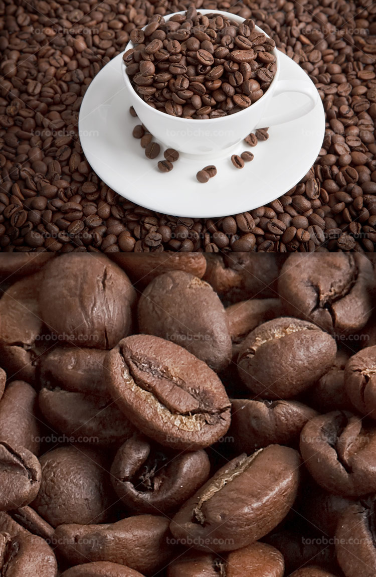 مصرف زیاد قهوه حجم مغز را کاهش می‌دهد