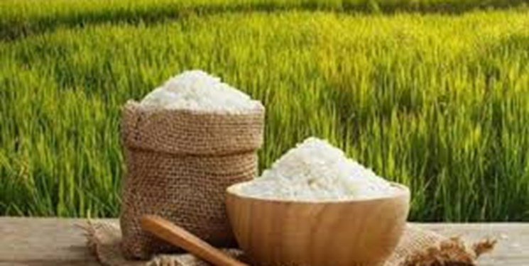 افزایش ۵۰ درصدی تولید برنج و سیب زمینی با دستکاری ژنتیک