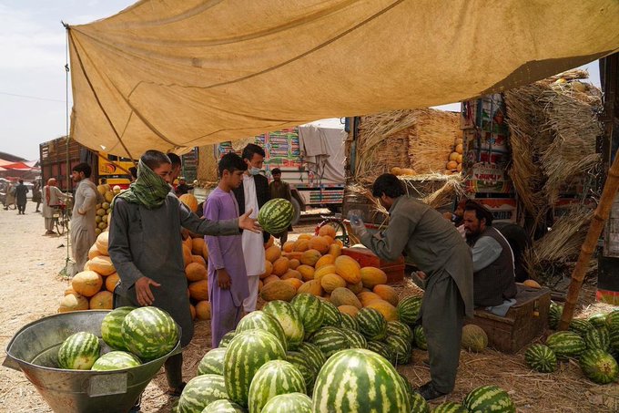 تصویر دیدنی از بازار میوه کابل+عکس