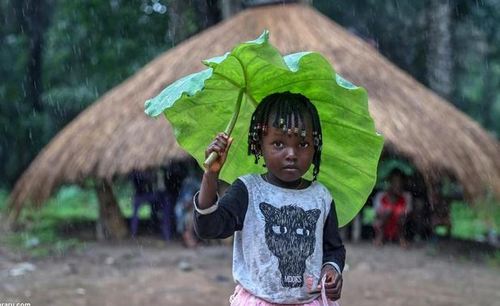 چتر متفاوت کودکان گینه ای+عکس