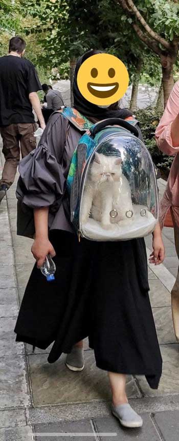 تصویر یک دختر در خیابان های تهران جنجالی شد+عکس